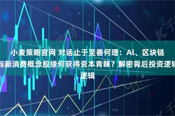 小麦策略官网 对话止于至善何理：Al、区块链与新消费概念股缘何获得资本青睐？解密背后投资逻辑