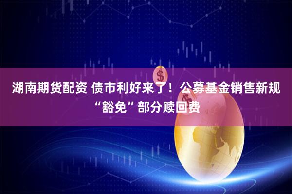 湖南期货配资 债市利好来了！公募基金销售新规“豁免”部分赎回费