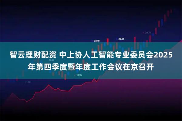 智云理财配资 中上协人工智能专业委员会2025年第四季度暨年度工作会议在京召开