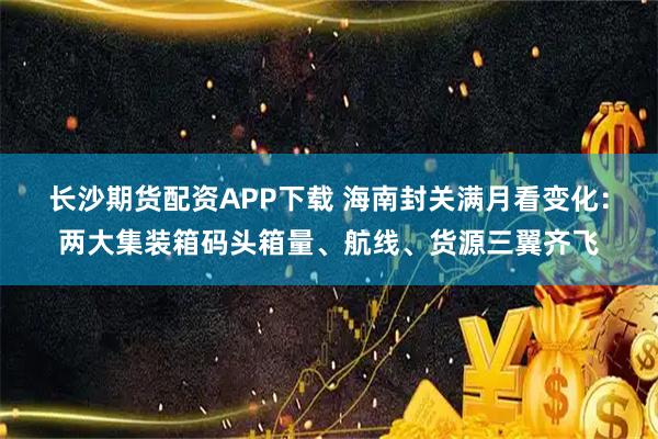 长沙期货配资APP下载 海南封关满月看变化：两大集装箱码头箱量、航线、货源三翼齐飞