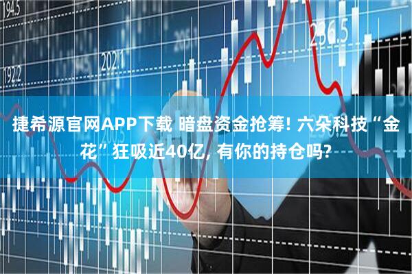 捷希源官网APP下载 暗盘资金抢筹! 六朵科技“金花”狂吸近40亿, 有你的持仓吗?